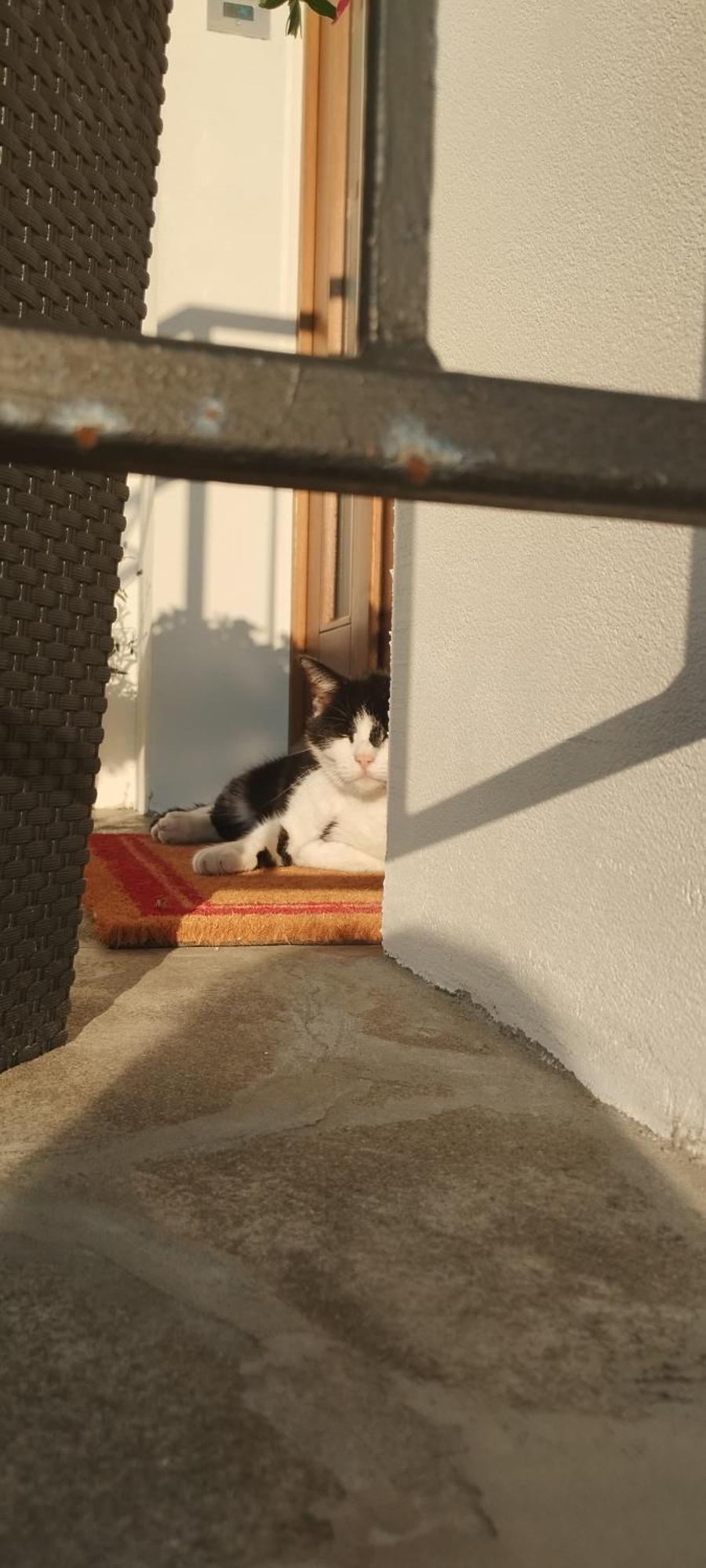 Zara Goscinne Oraz Zara Nowosc Homestay